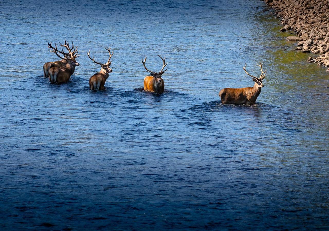 Loch Rannoch Hotel And Spa Kinloch Rannoch Bagian luar foto